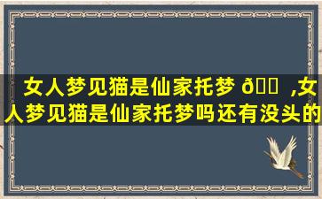 女人梦见猫是仙家托梦 🐠 ,女人梦见猫是仙家托梦吗还有没头的是白猫